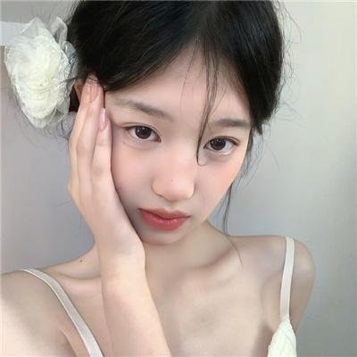 两只老虎